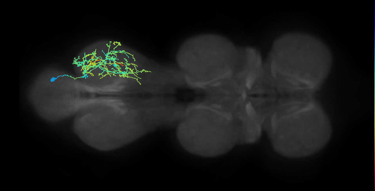 IN20A.22A006_T3_R (MANC:16905)