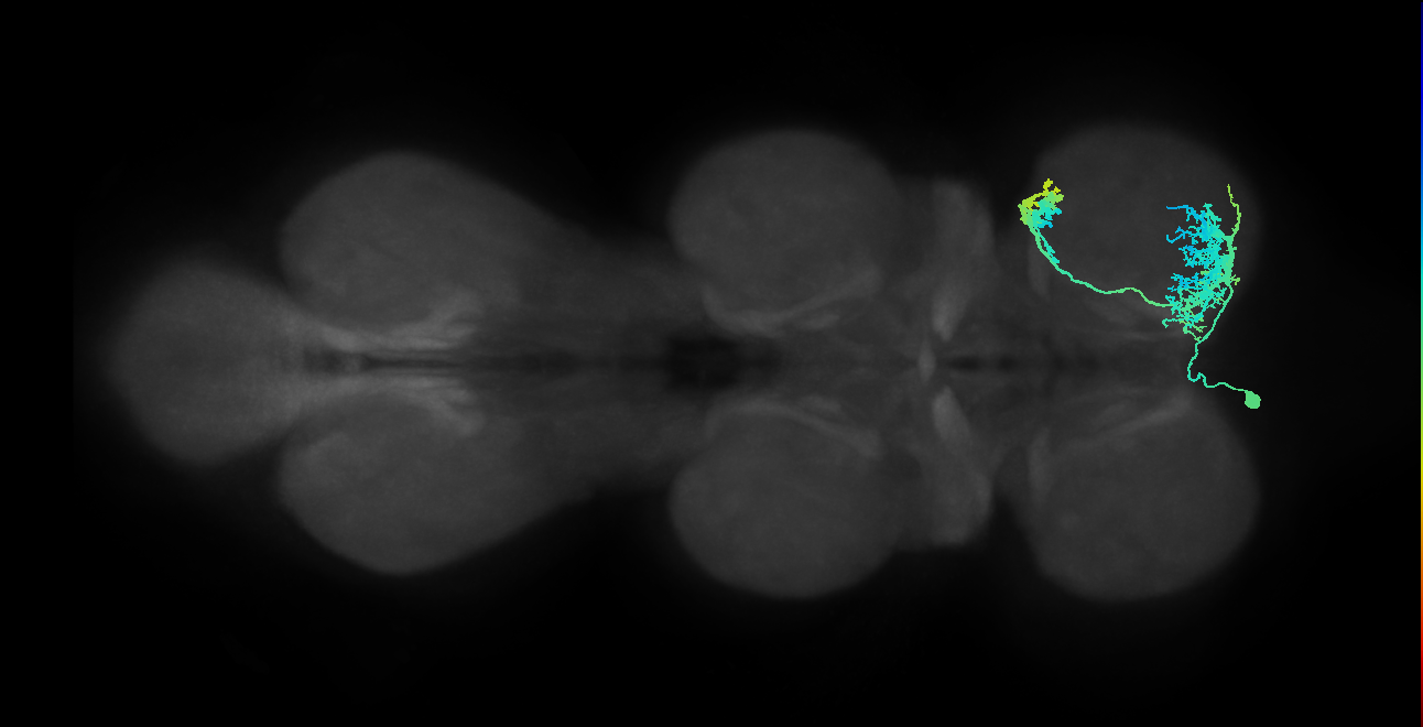 IN14A001_T1_L (MANC:16941)