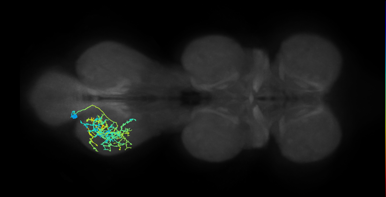 IN21A022_T3_L (MANC:17053)
