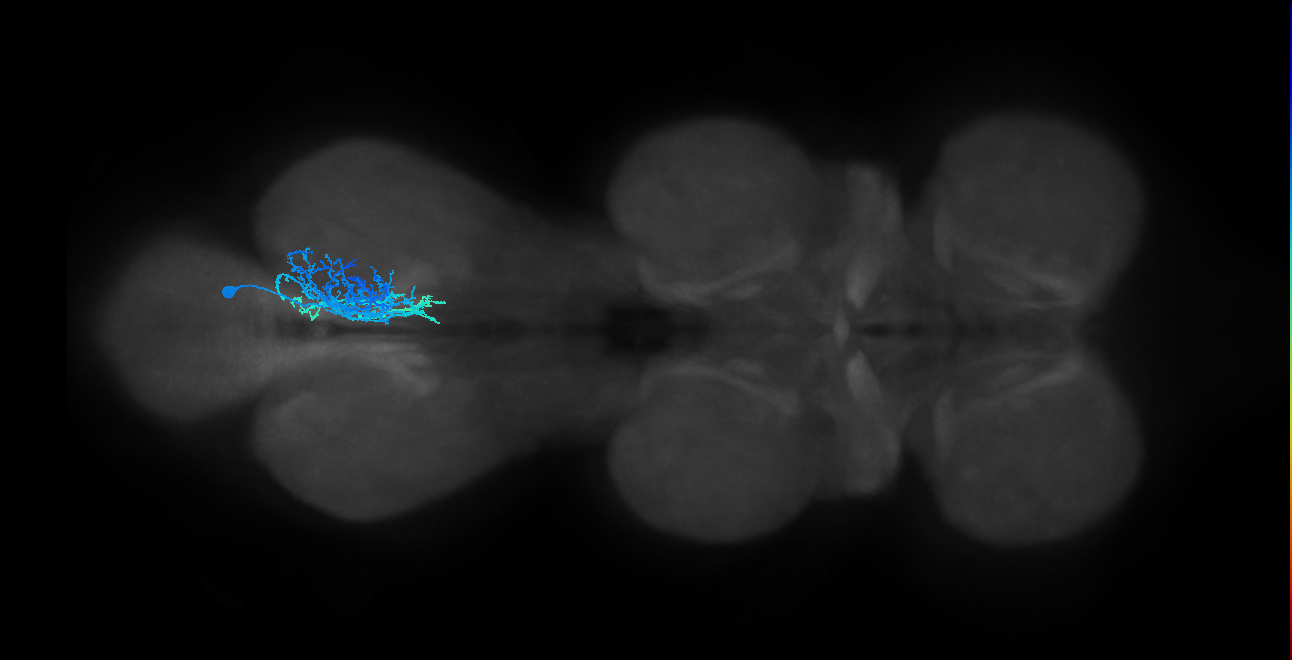 IN01B012_T3_R (MANC:17095)