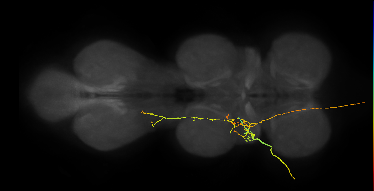 SApp04_ADMN_L (MANC:17123)
