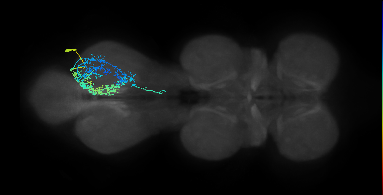 IN19A026_T3_R (MANC:17267)