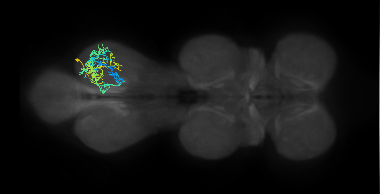 IN03A007_T3_R (MANC:17343)