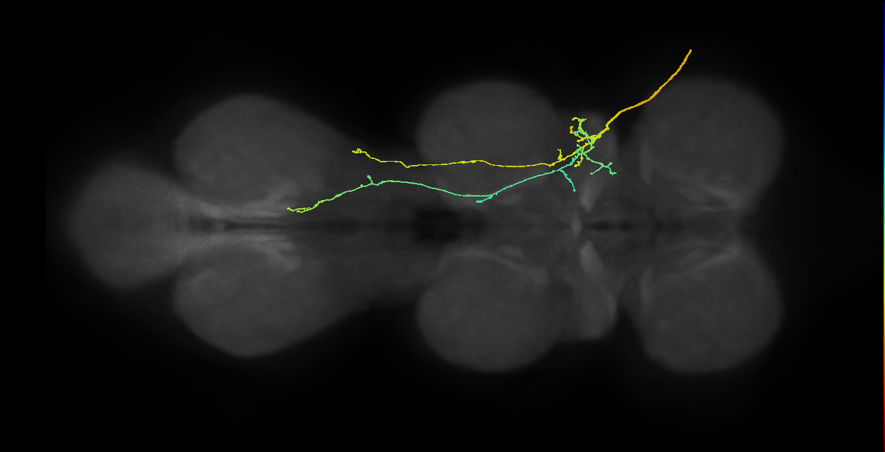 SNpp09_ADMN_R (MANC:17356)