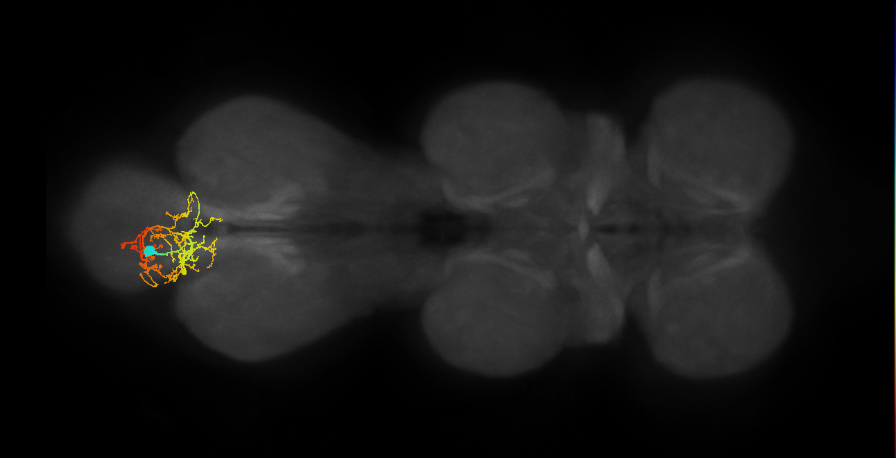 IN02A033_A5_L (MANC:17390)