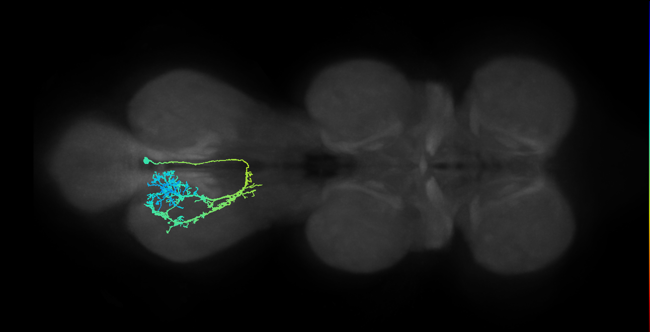 IN12B009_T3_R (MANC:17413)