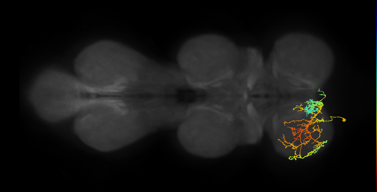 IN16B012_T1_L (MANC:17420)