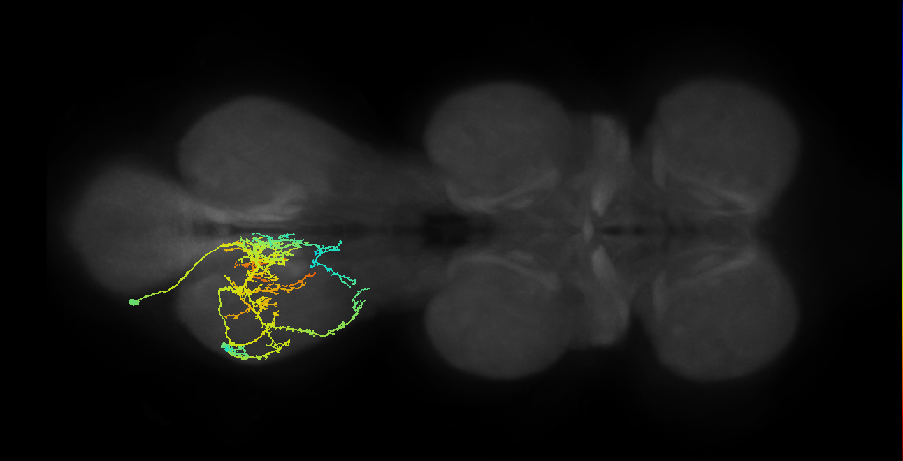 IN03A010_T3_L (MANC:17509)