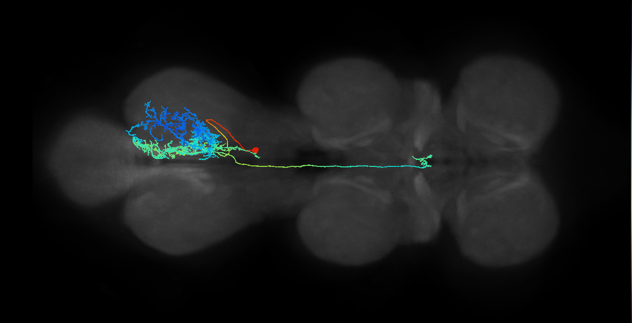 IN23B014_T3_R (MANC:17692)