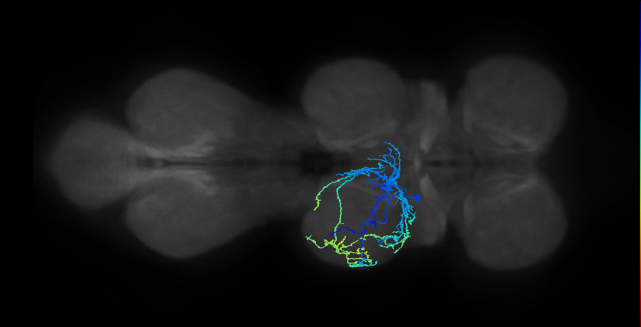 IN04B022_T2_L (MANC:17738)