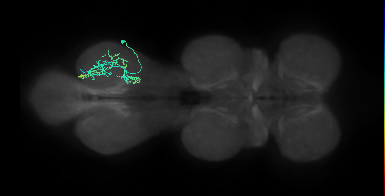 IN09A016_T3_R (MANC:17810)
