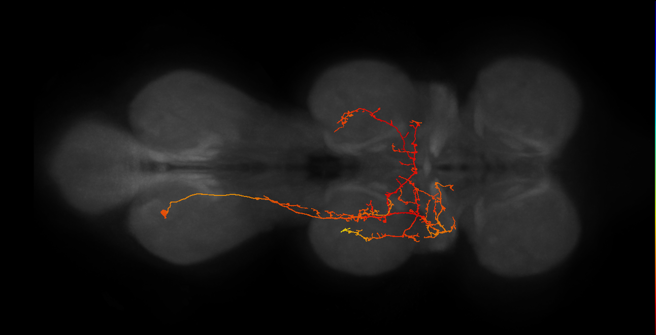 IN03B056_A1_L (MANC:17849)