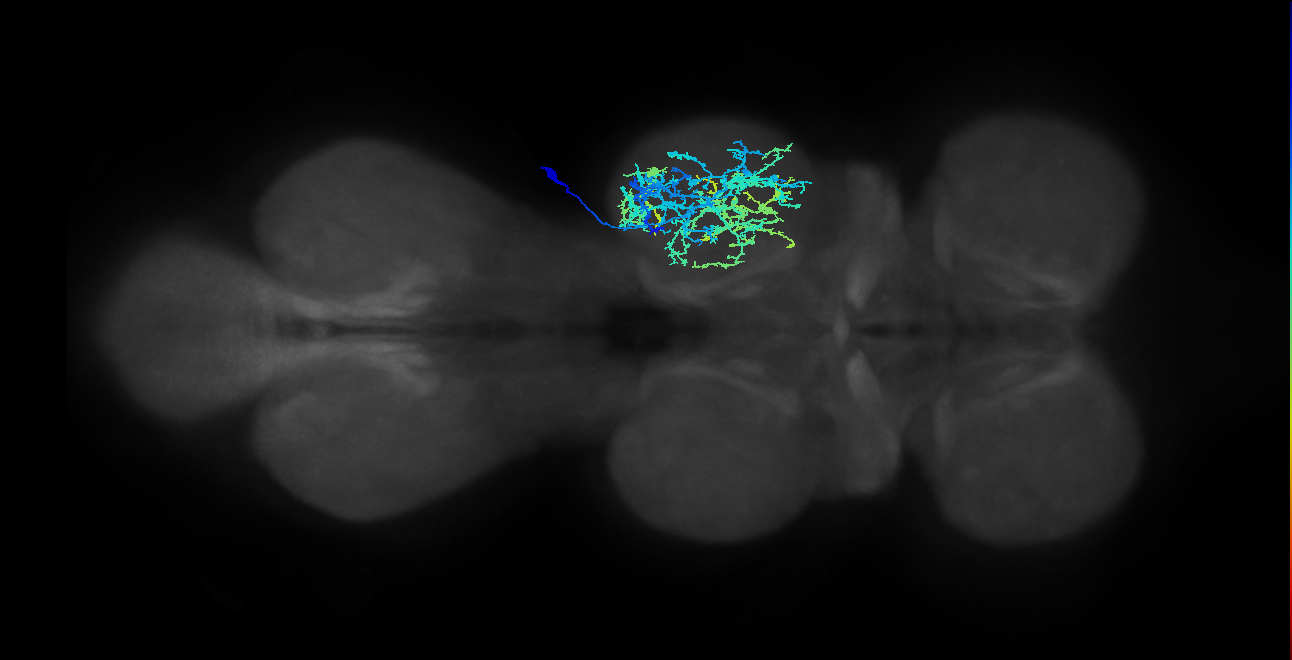 IN20A.22A006_T2_R (MANC:17893)