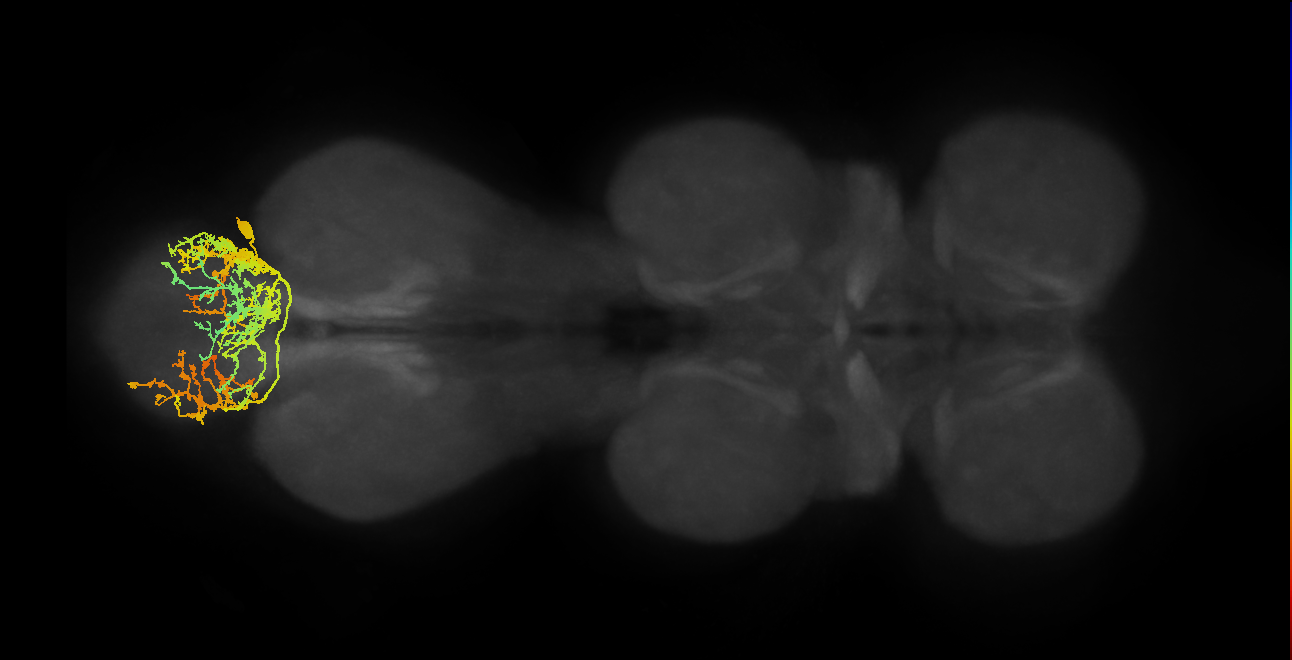 IN01A044_A5_R (MANC:17904)