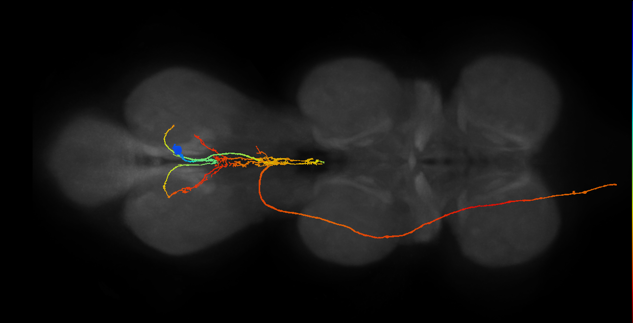 AN27X005_T3_R (MANC:17954)