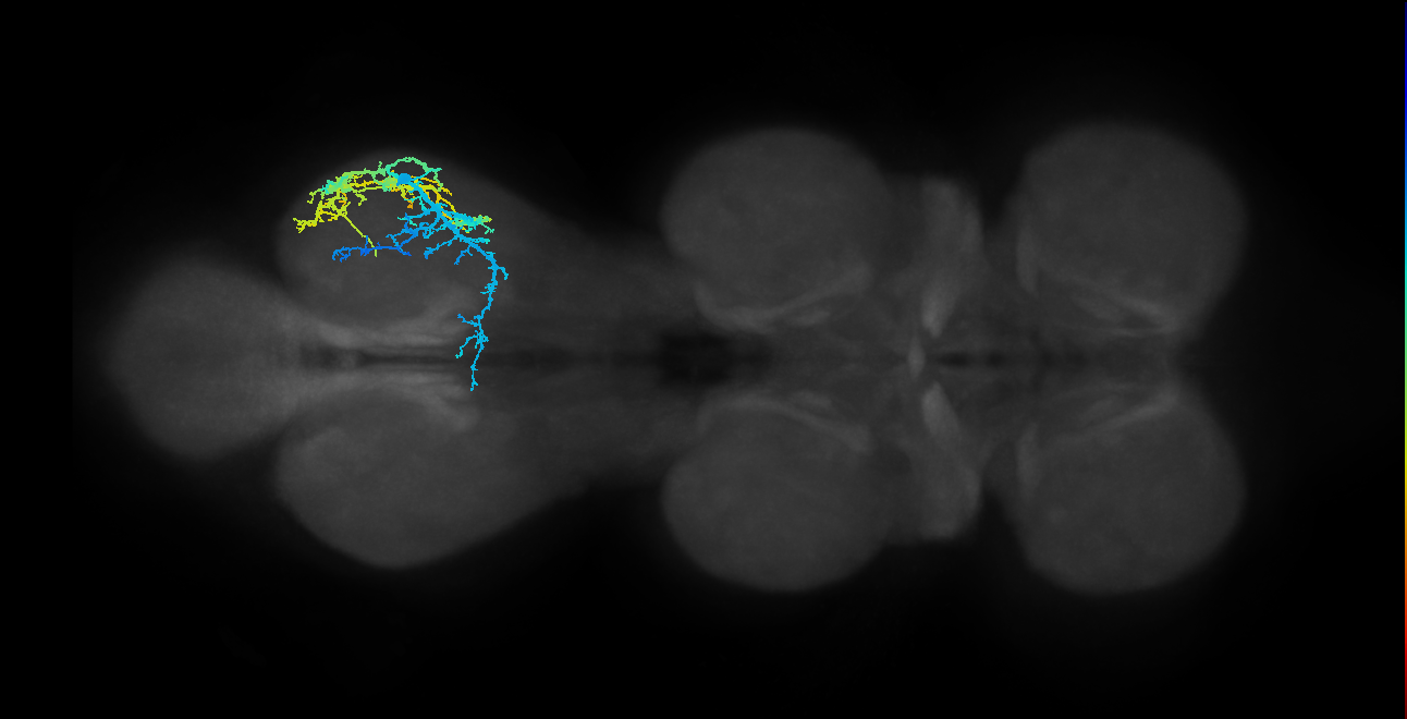 IN16B015_T3_R (MANC:17968)