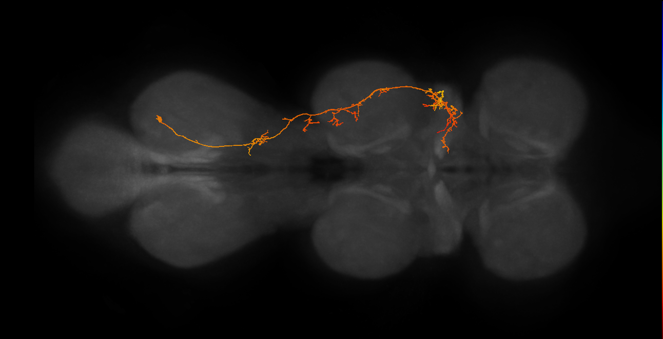IN03B078_A1_R (MANC:18180)