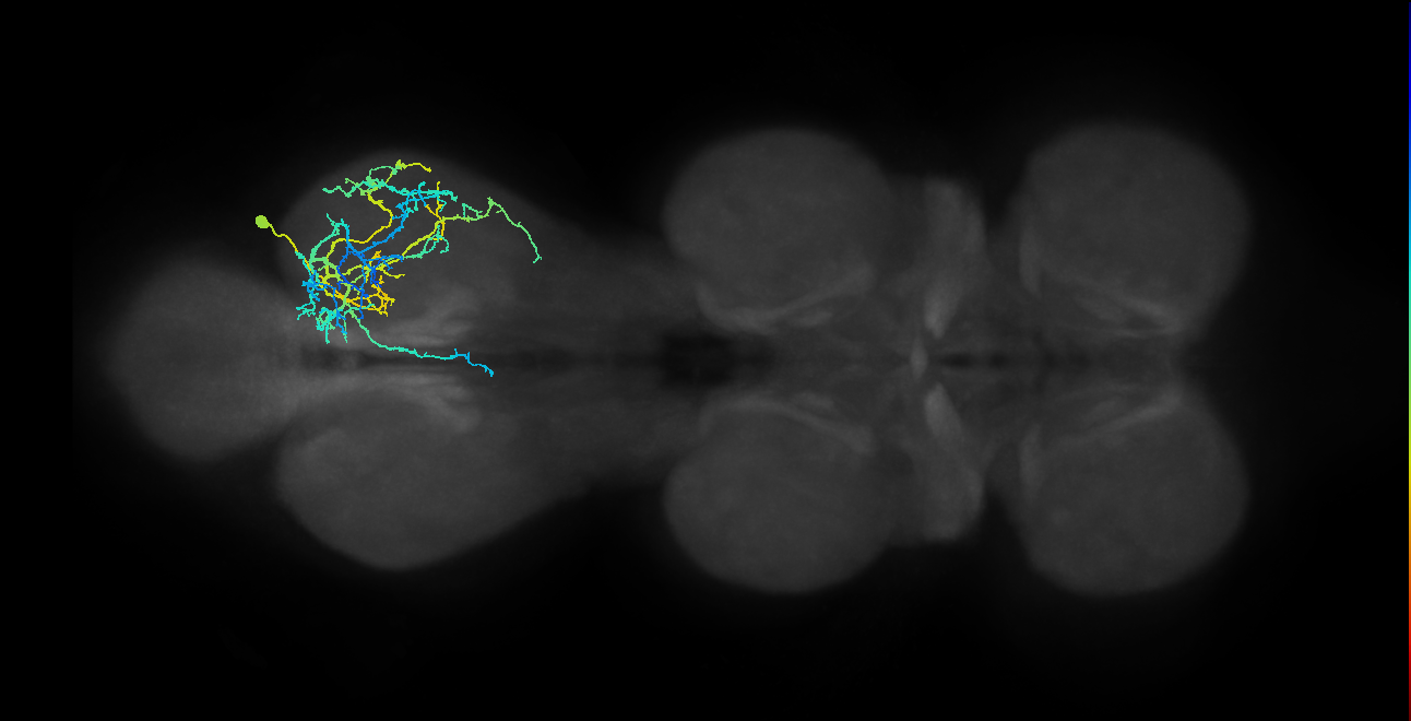IN03A007_T3_R (MANC:18194)