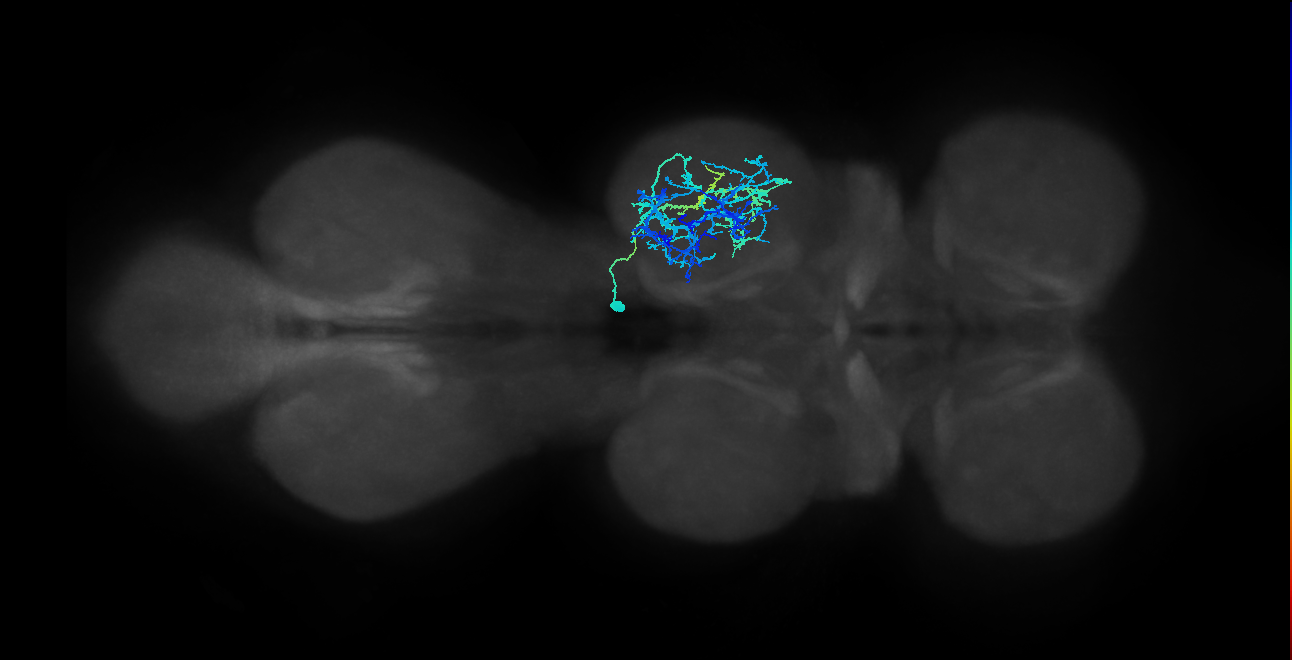 IN03A012_T2_R (MANC:18239)