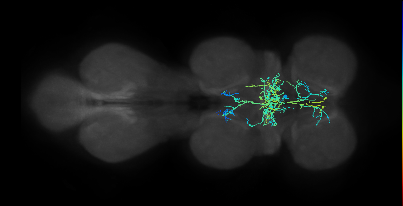 IN00A047_T1_M (MANC:18300)