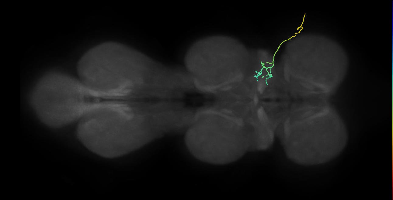 SNta02_ADMN_R (MANC:18314)