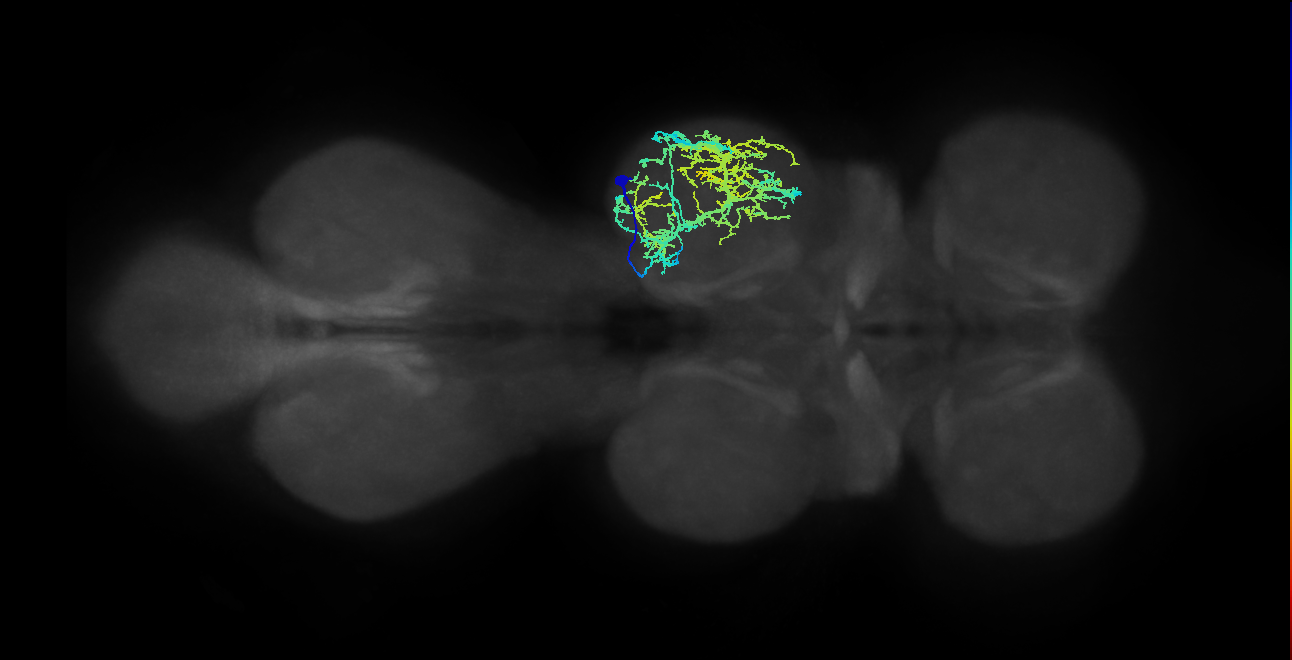 IN04B037_T2_R (MANC:18335)