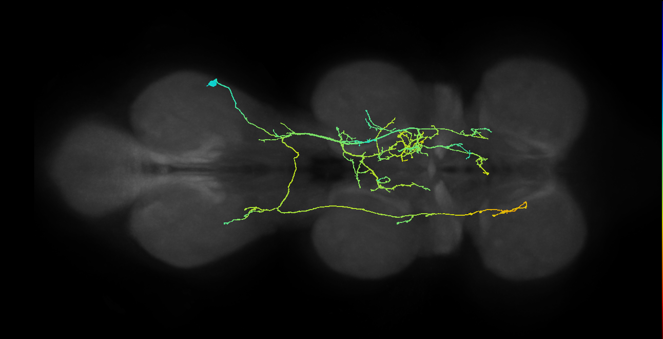 IN08B070_T3_R (MANC:18387)