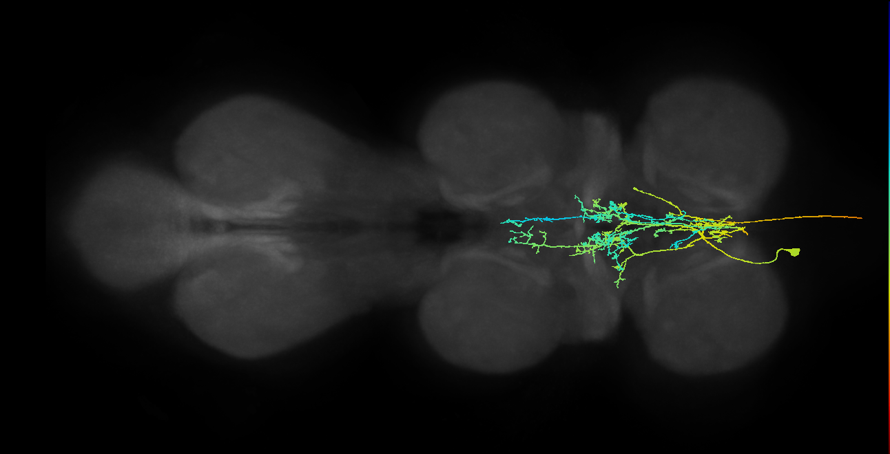 AN08B095_T1_L (MANC:18389)