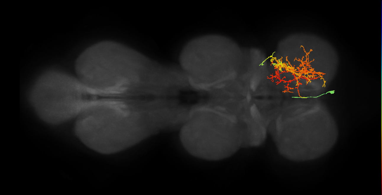 IN02A024_T1_R (MANC:18466)