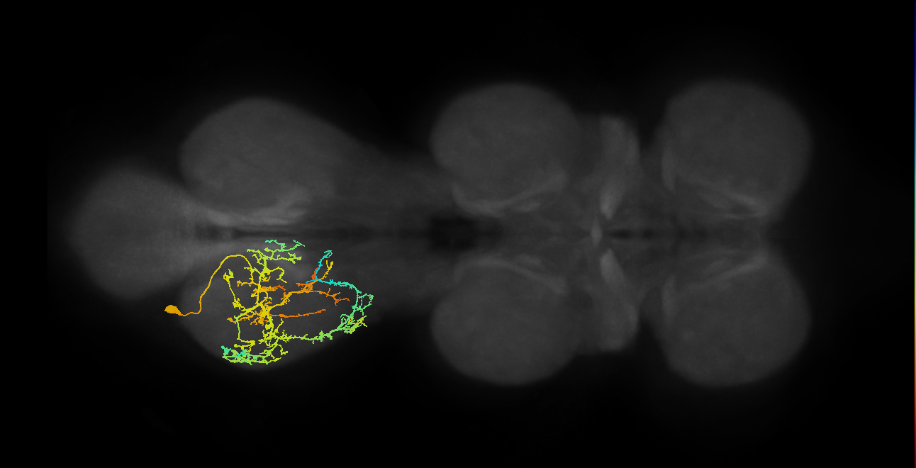 IN03A010_T3_L (MANC:18498)
