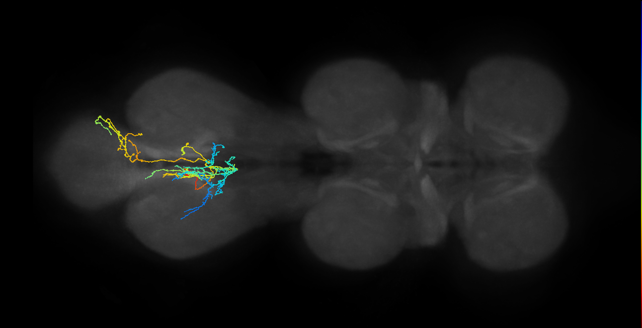 IN23B016_A1_L (MANC:18618)