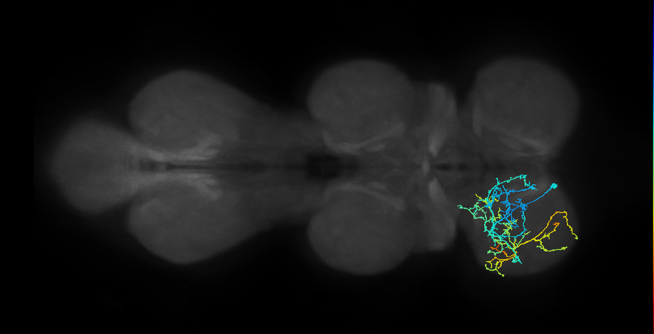 IN04B032_T1_L (MANC:18641)