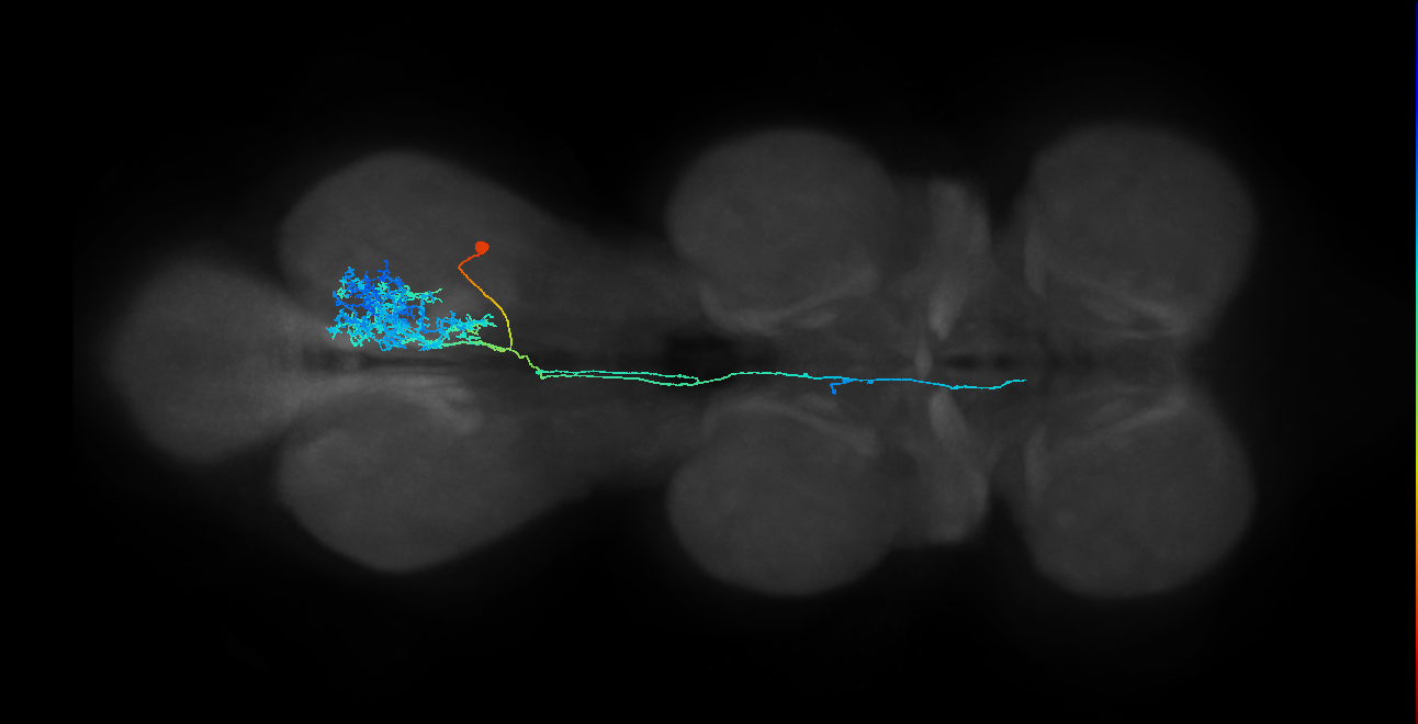 IN23B020_T3_R (MANC:18658)