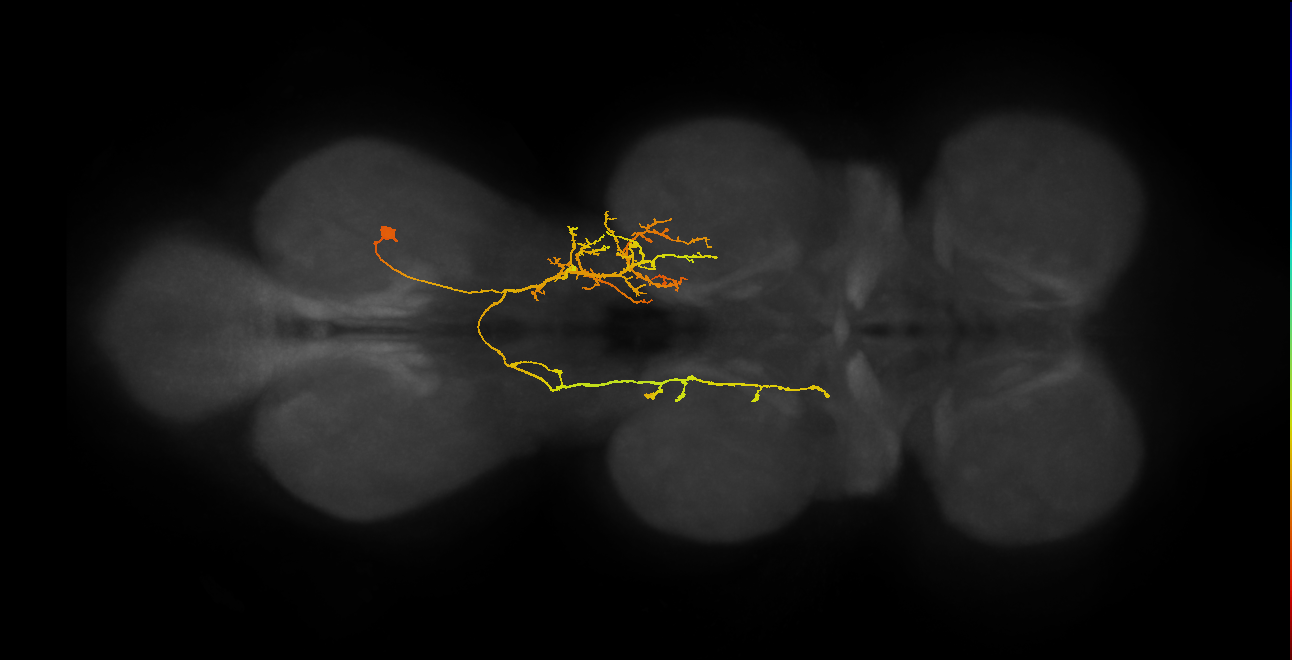 IN07B080_A1_R (MANC:18680)