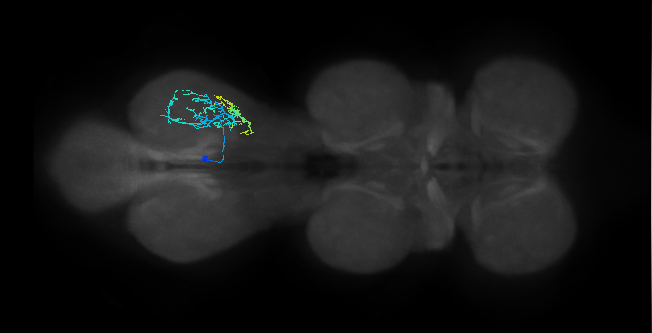 IN14A004_T3_L (MANC:18688)
