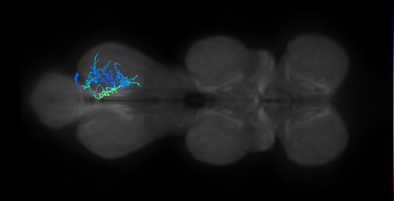 IN01B006_T3_R (MANC:18703)