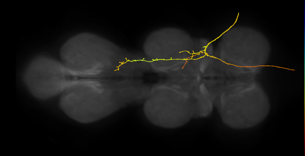 SApp04_ADMN_R (MANC:18721)