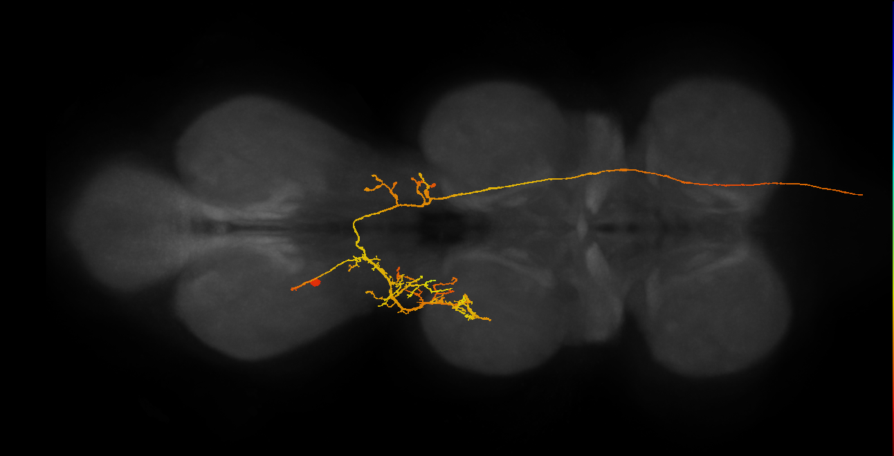 AN19B055_T3_L (MANC:18786)