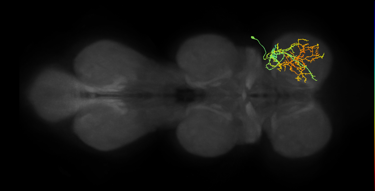 IN03A011_T1_R (MANC:18860)