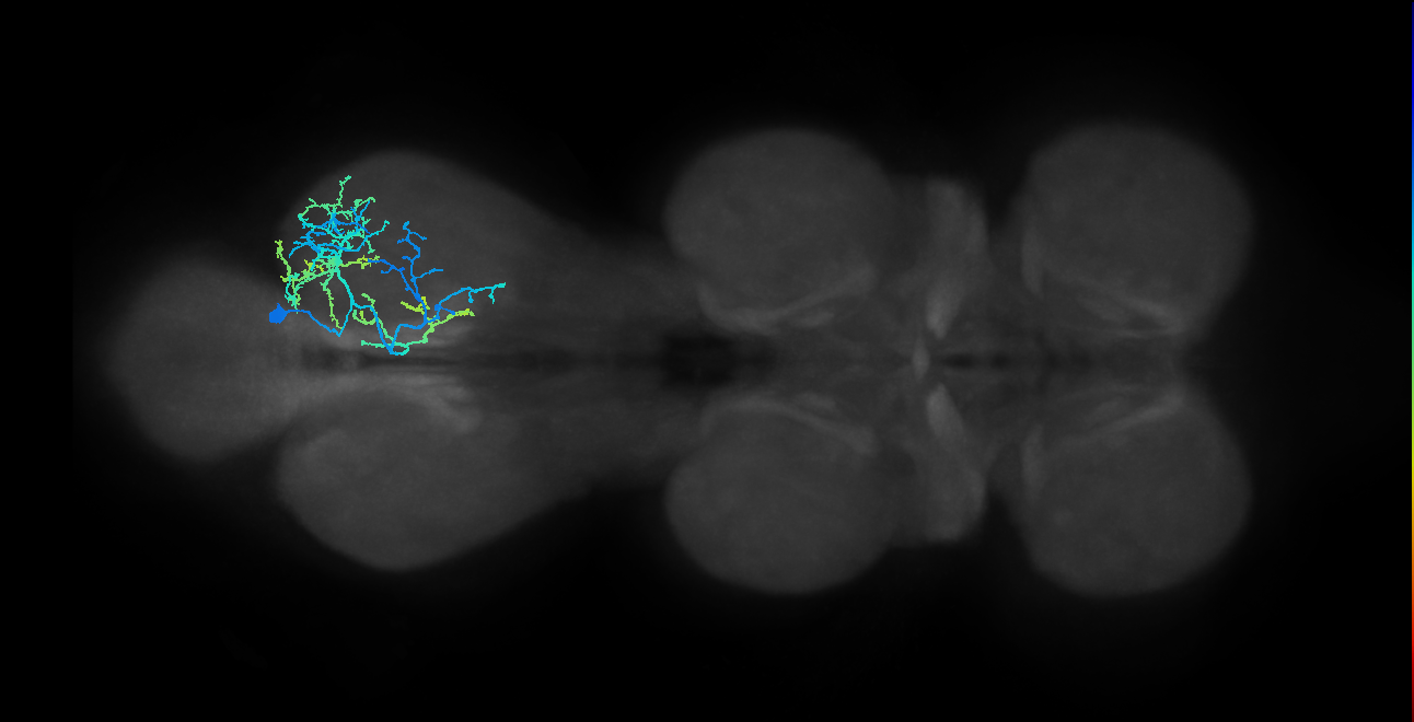 IN01B008_T3_R (MANC:18882)