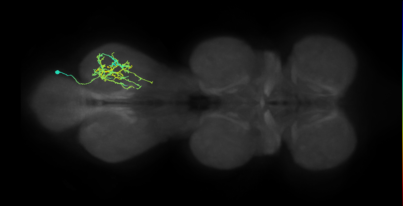 IN20A.22A014_T3_R (MANC:19043)