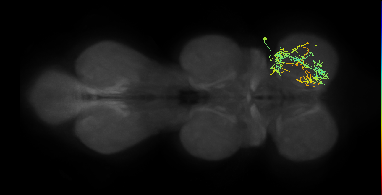 IN03A009_T1_R (MANC:19069)