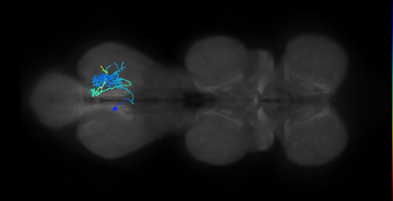 IN14A001_T3_L (MANC:19119)