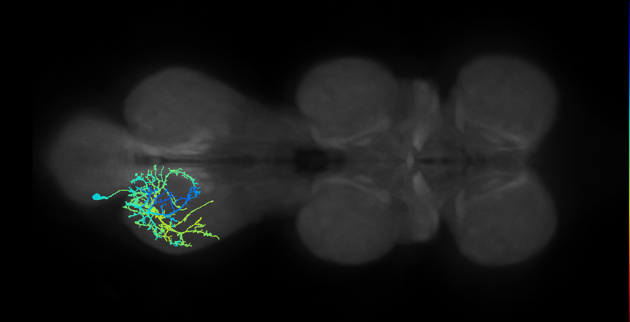 IN20A.22A002_T3_L (MANC:19201)