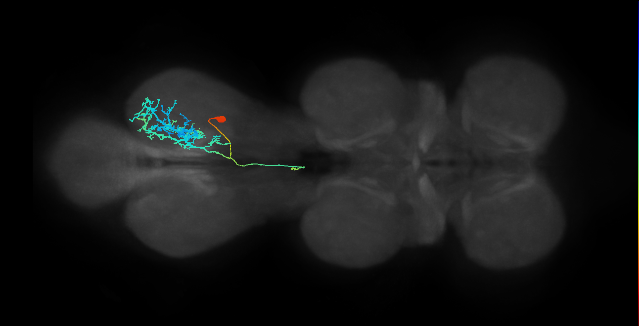 IN23B006_T3_R (MANC:19256)