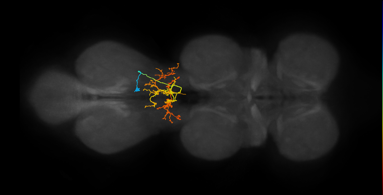 IN07B027_T3_R (MANC:19327)