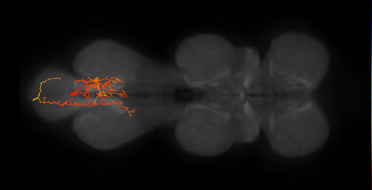IN19B048_A2_R (MANC:19394)