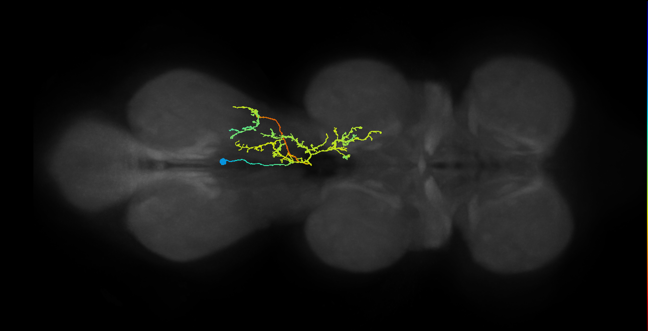 IN02A022_T3_R (MANC:19489)