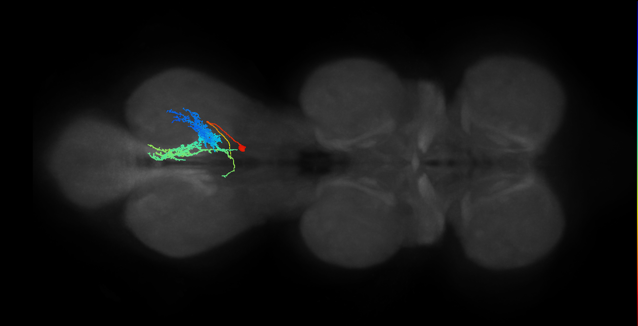 IN23B013_T3_R (MANC:19538)
