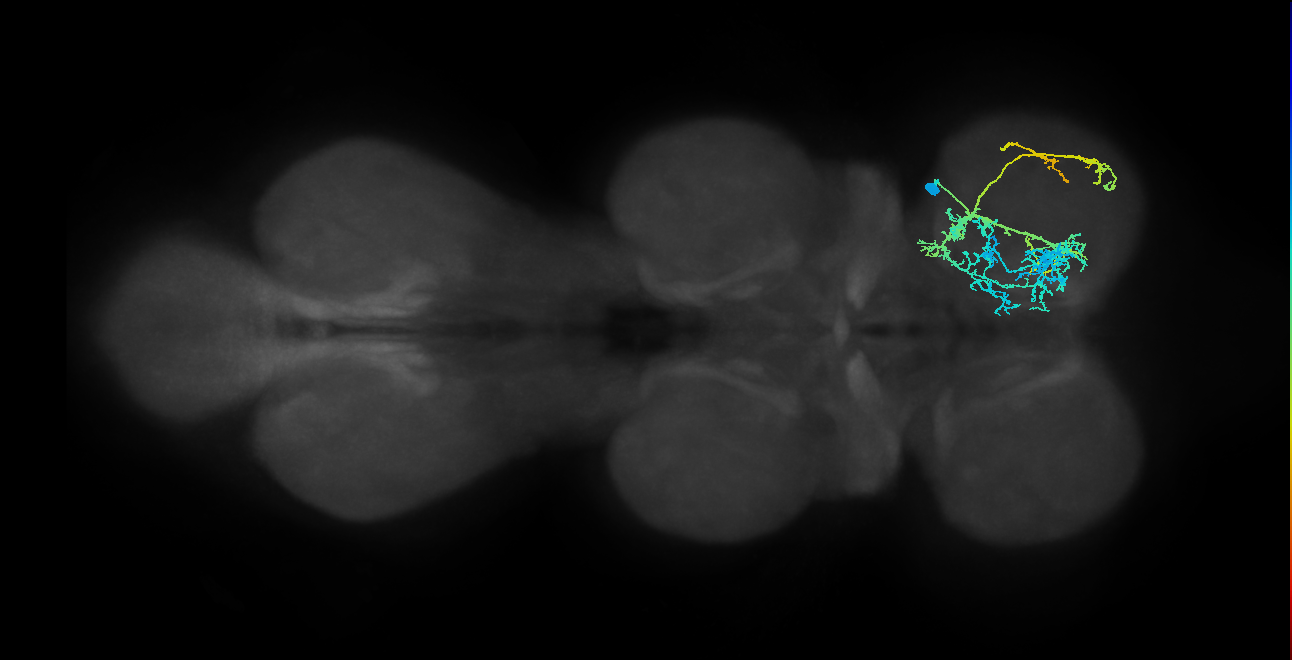 IN04B034_T1_R (MANC:19614)